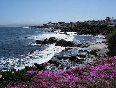 Monterey Peninsula Inn Pacific Grove Eksteriør billede